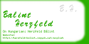 balint herzfeld business card